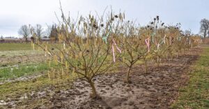 July/August 2025 issue highlights: Drift, drying and harvest innovation